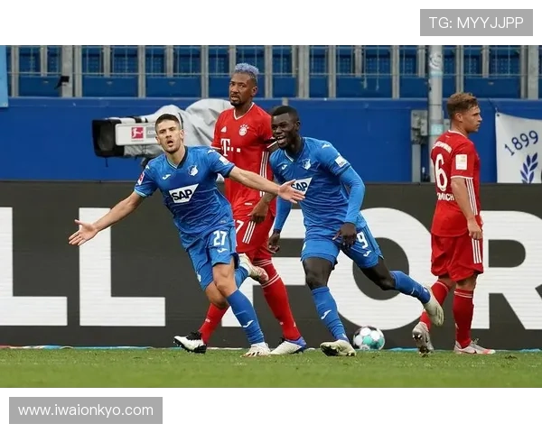 霍芬海姆瞄准新星 未来之星将诞生